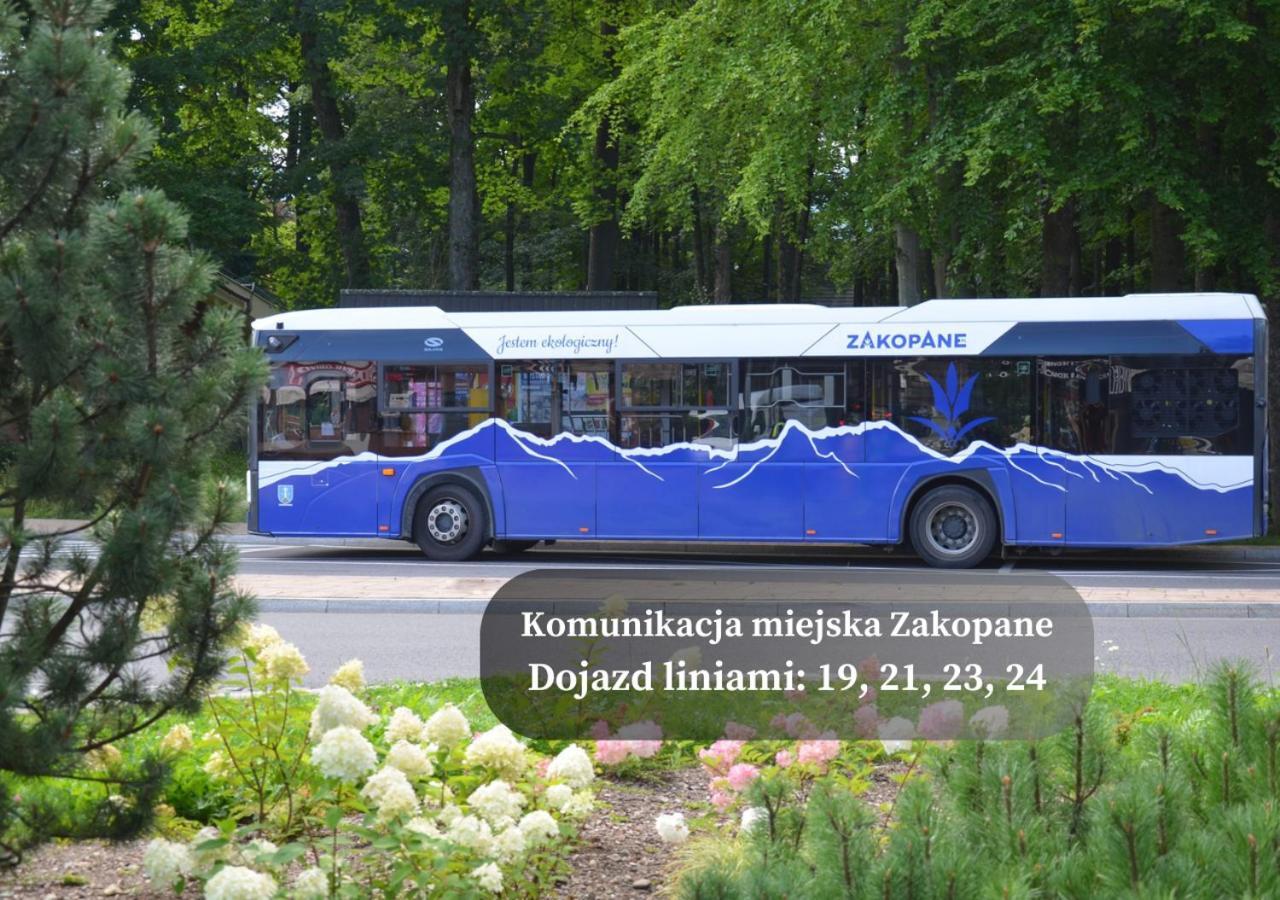 Górski Kuźnice