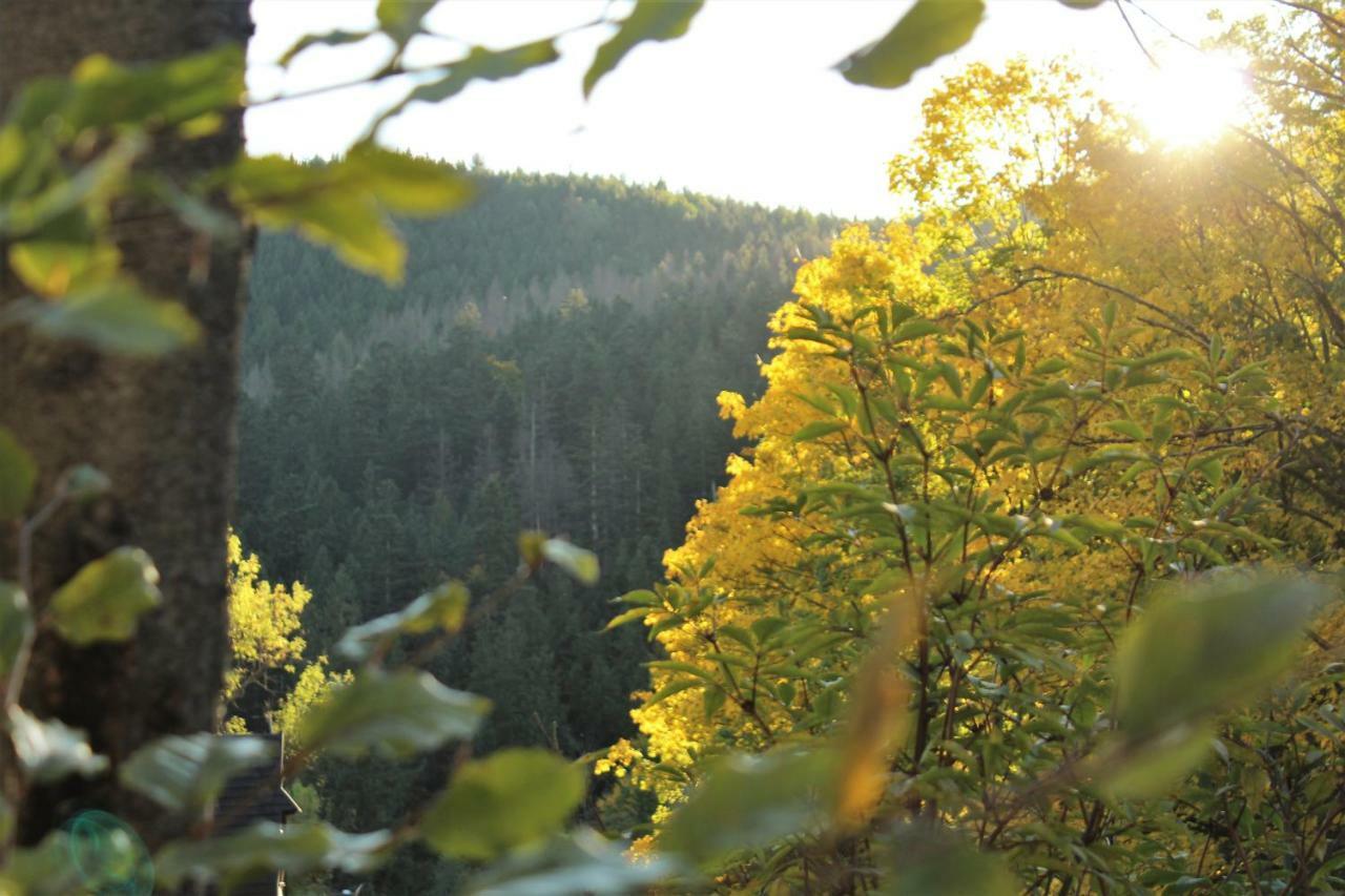 Gorski Kuznice Zakopane